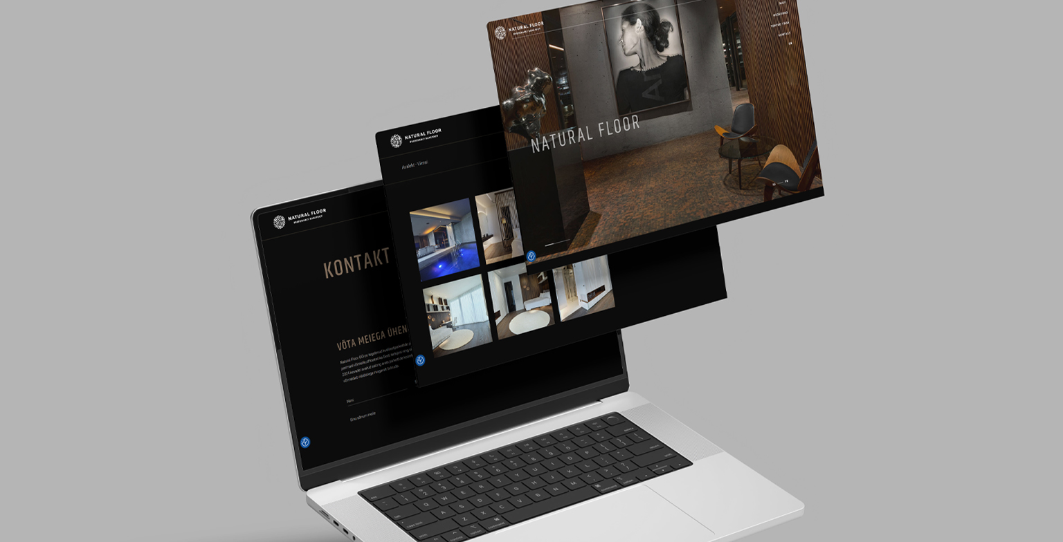 Ehitusmaterjali müüjale Ventara meetodi loojate poolt tehtud koduleht