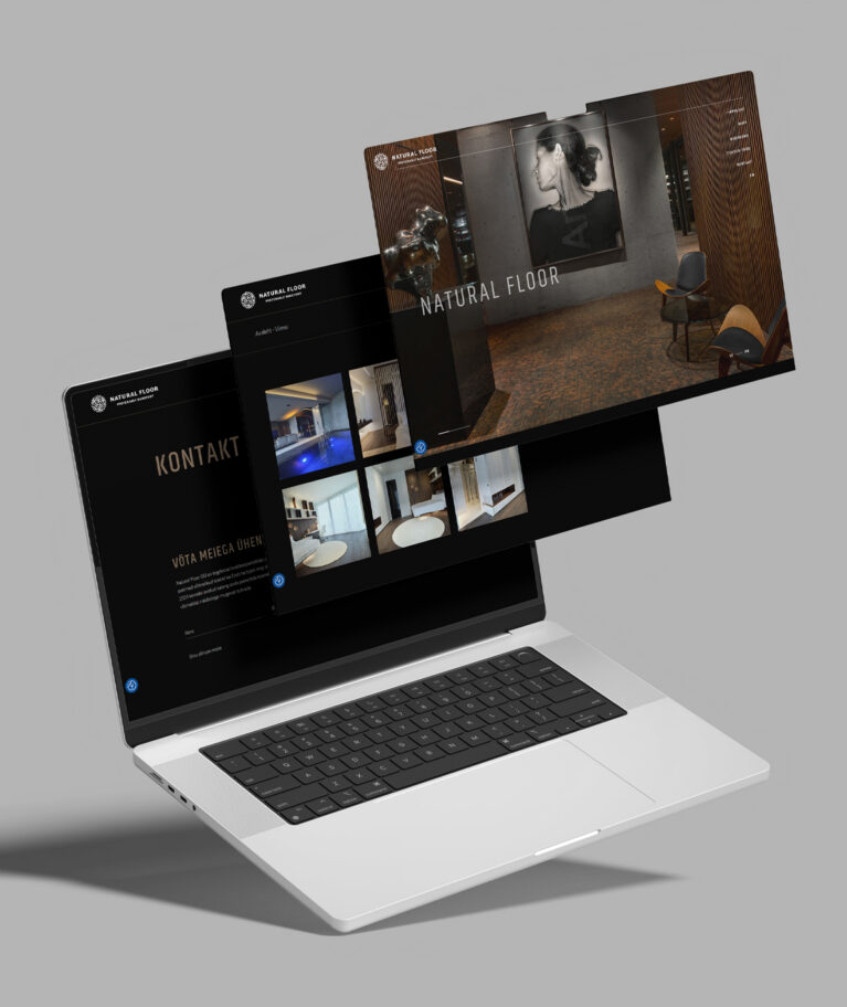 Ehitusmaterjali müüjale Ventara meetodi loojate poolt tehtud koduleht